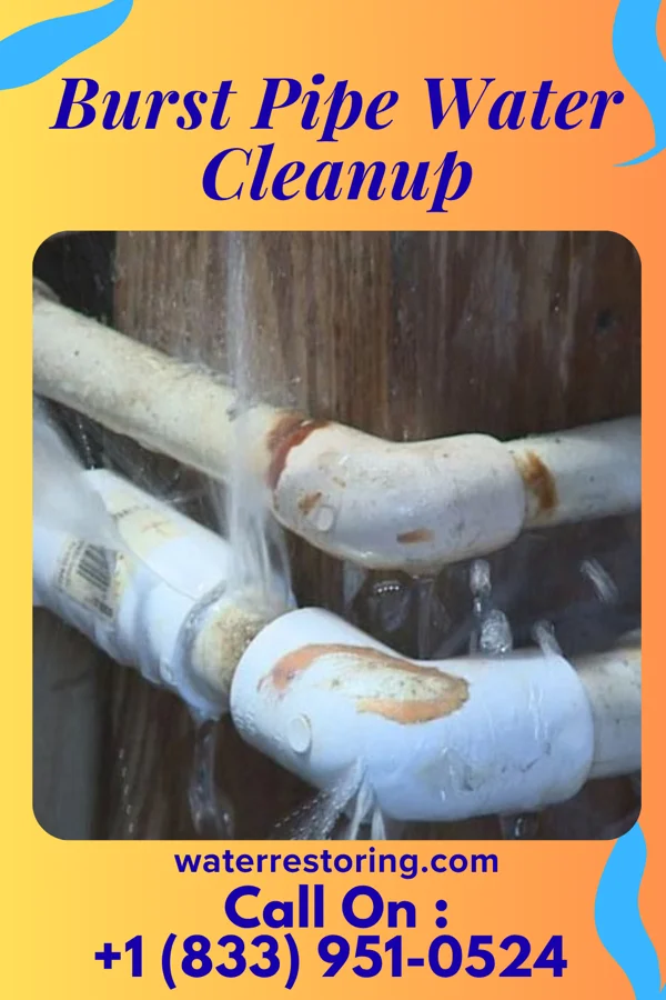 Burst Pipe Water Cleanup in Murray City, OH