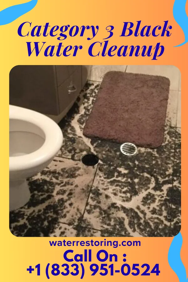 Category 3 Black Water Cleanup in Murray City, OH