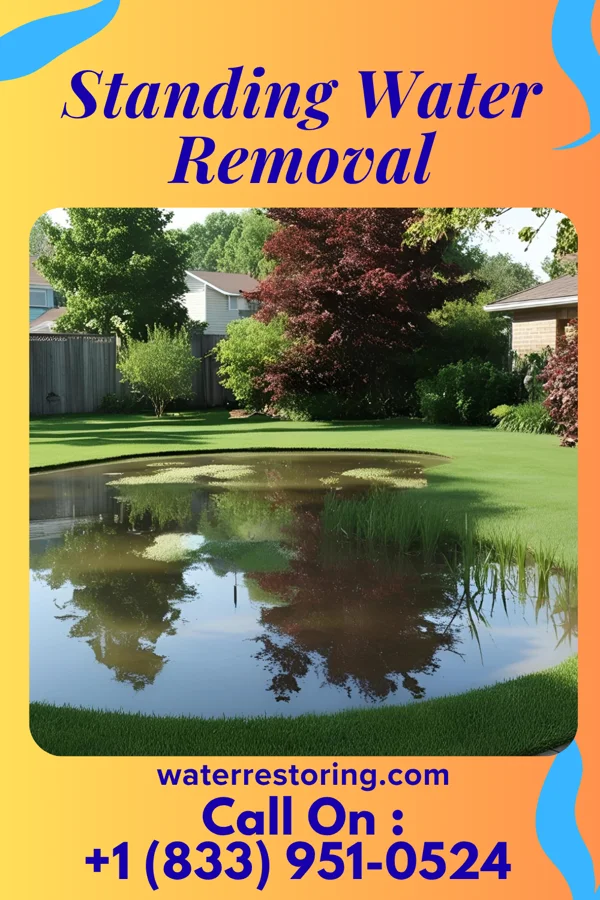 Standing Water Removal in Murray City, OH